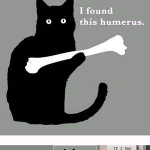 Meet your Posher, Mollie